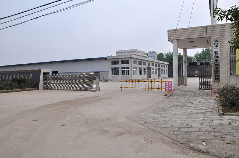 企业大门环境展示